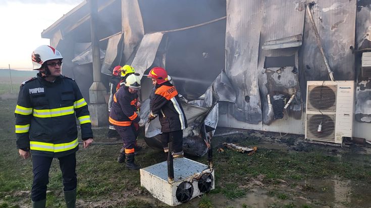 incendiu hala gaini unimat 10