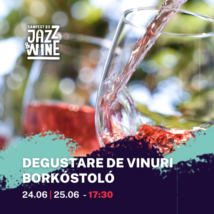 Samfest JazzWine degustare vin