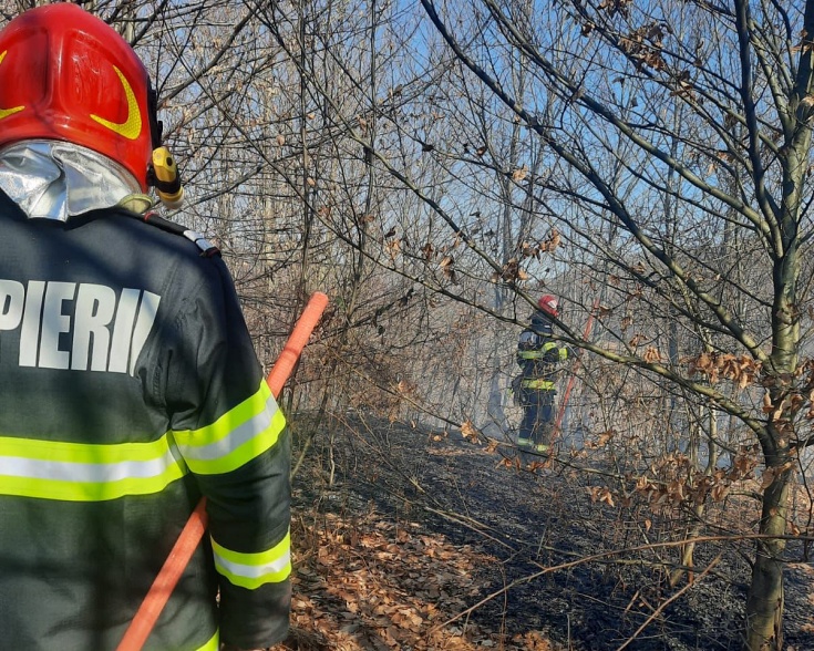 incendiu vegetatie uscata draguseni