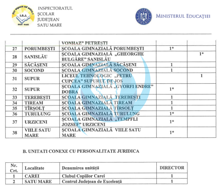 concurs directori scoli satu mare 1