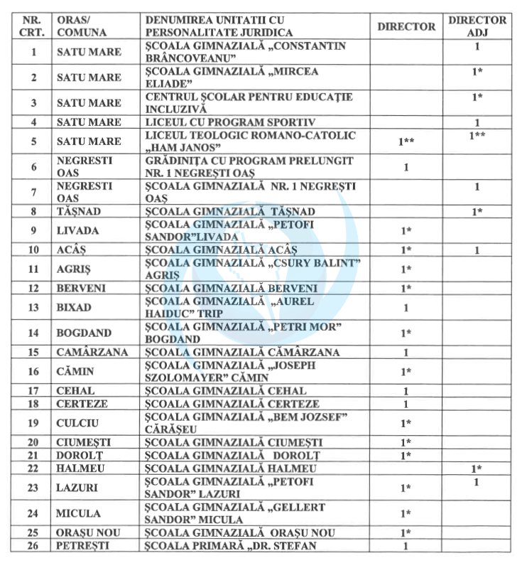 concurs directori scoli satu mare