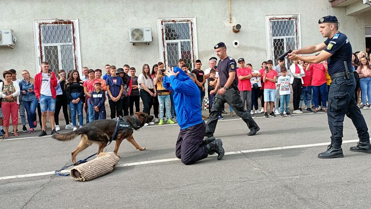 vizita jandarmeria satu mare 1